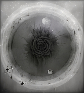 Celestial Black Rose