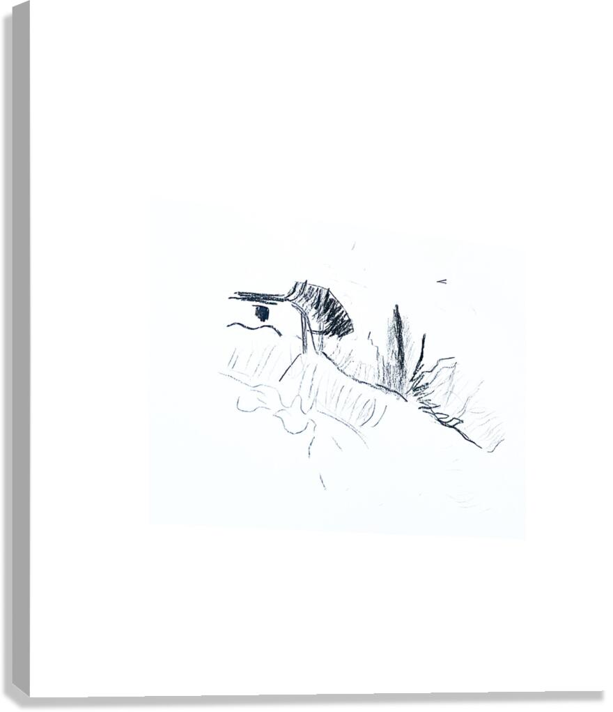 Landscape drawing Canvas Print