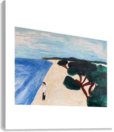 the sea Canvas Print