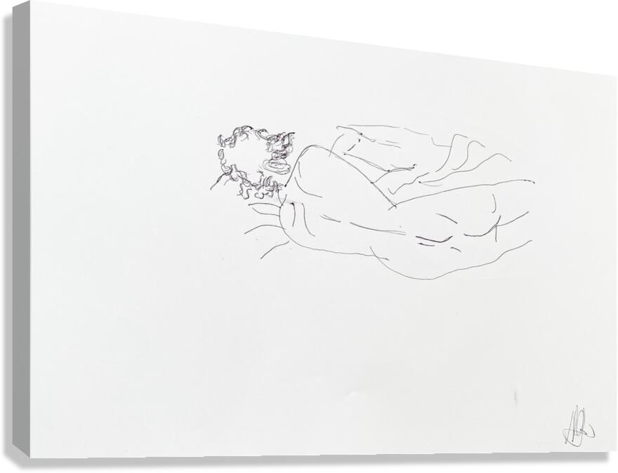 Drawings Canvas Print