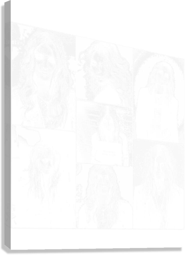 The Pretty Reckless 21 Canvas Print
