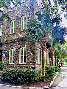 Charleston 08 48