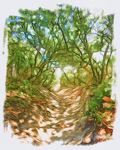 Beach Access 34