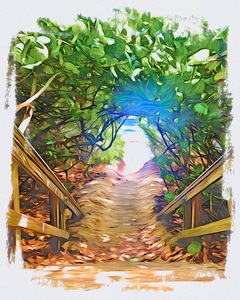 Beach Access 17