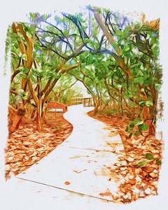 Beach Access 18