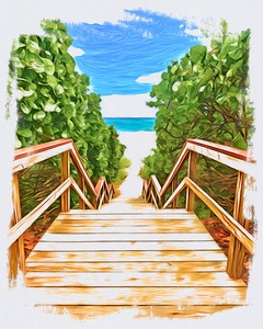 Beach Access 20
