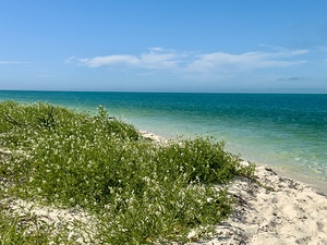 Boca Grande FL