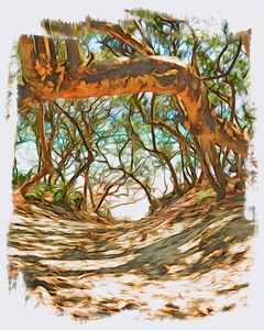 Beach Access 37