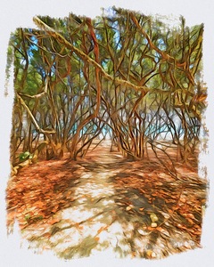 Beach Access 44