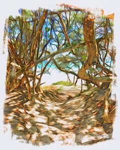 Beach Access 39