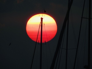 DSCN7385