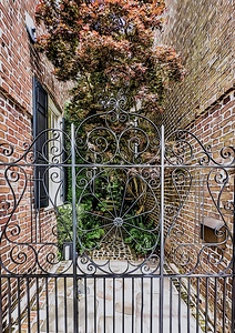 Charleston 50