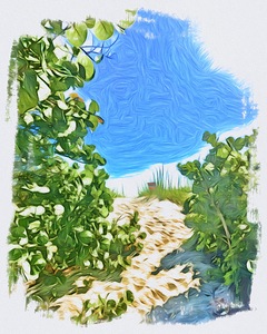 Beach Access  71