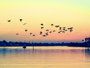 NSB Sunrise III
