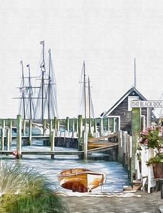 MV IL 06 17 09 41 25
