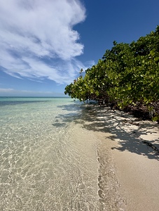 Boca Grande FL IV