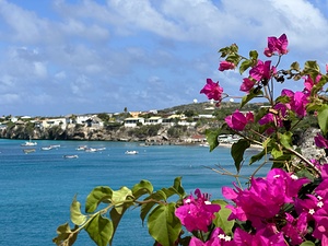 IMG 7005