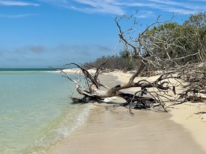 Boca Grande FL III
