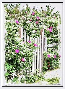 Beach Gate