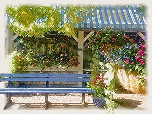 MV IL 06 17 08 42 46