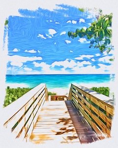 Beach Access 29