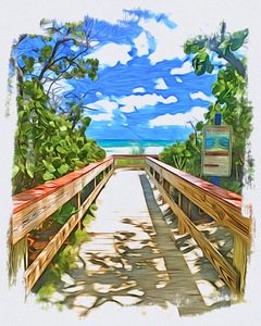 Beach Access 62