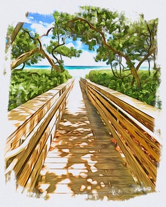 Beach Access 49