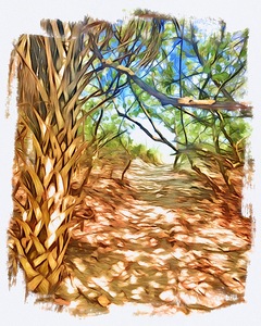 Beach Access 66