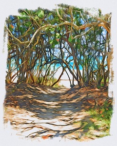 Beach Access 42
