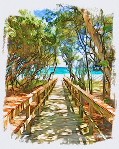 Beach Access 43
