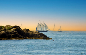 Newport Sails I