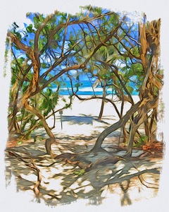 Beach Access 55