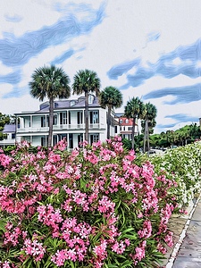 Charleston 07 09