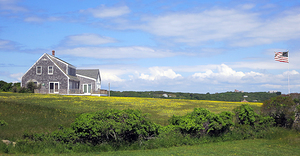 Out to Pasture