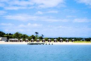 Chappy Point Beach