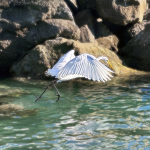 EGRET2