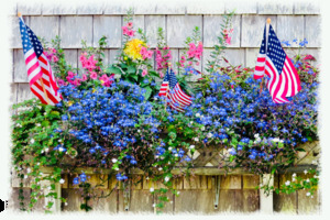 Flower Box