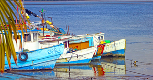 Costa Rica Fishing Boats