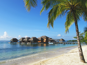 Panama Tiki Hut-Water Bungalows II