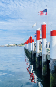 Paynes Dock