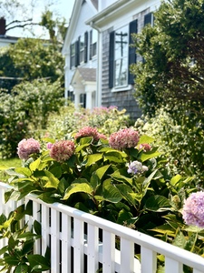 Main St. Vineyard Haven