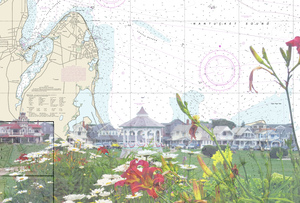 Oak Bluffs Common 2