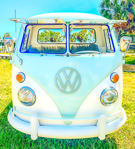 VW Bug