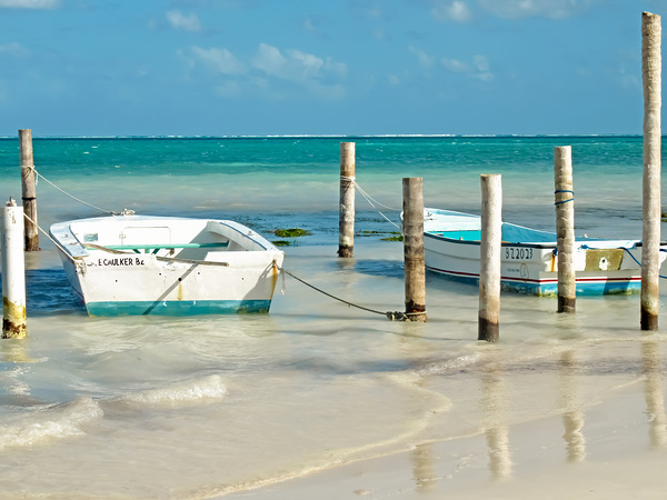 Cay Caulker III by JANIce