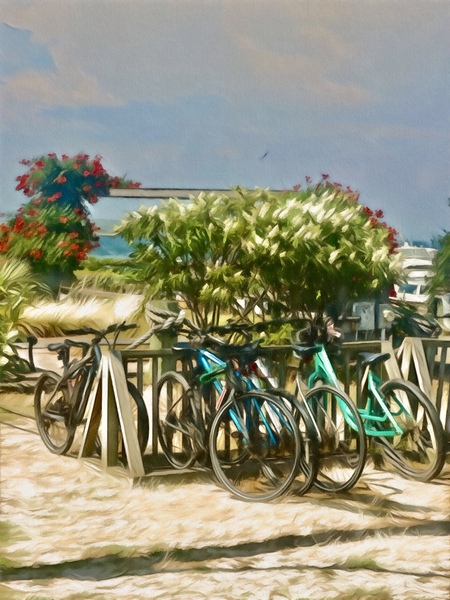  Summer Bicycles Téléchargement Numérique
