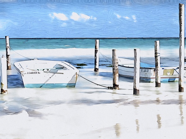 Cay Caulker II by JANIce