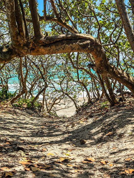 Beach Access   37 Téléchargement Numérique