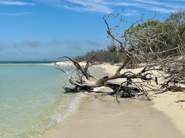 Boca Grande FL III Digital Download