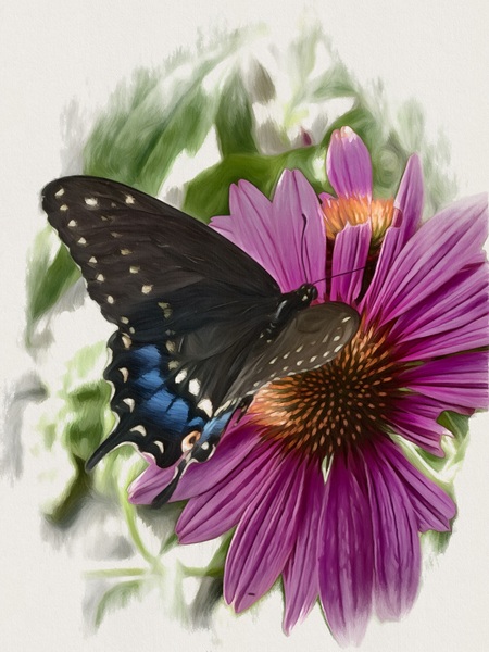 Butterfly I by JANIce