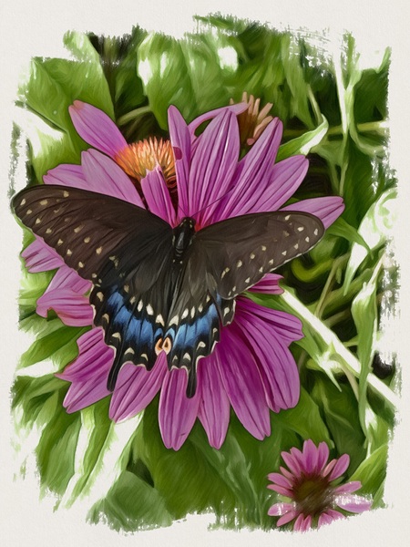 Butterfly II by JANIce